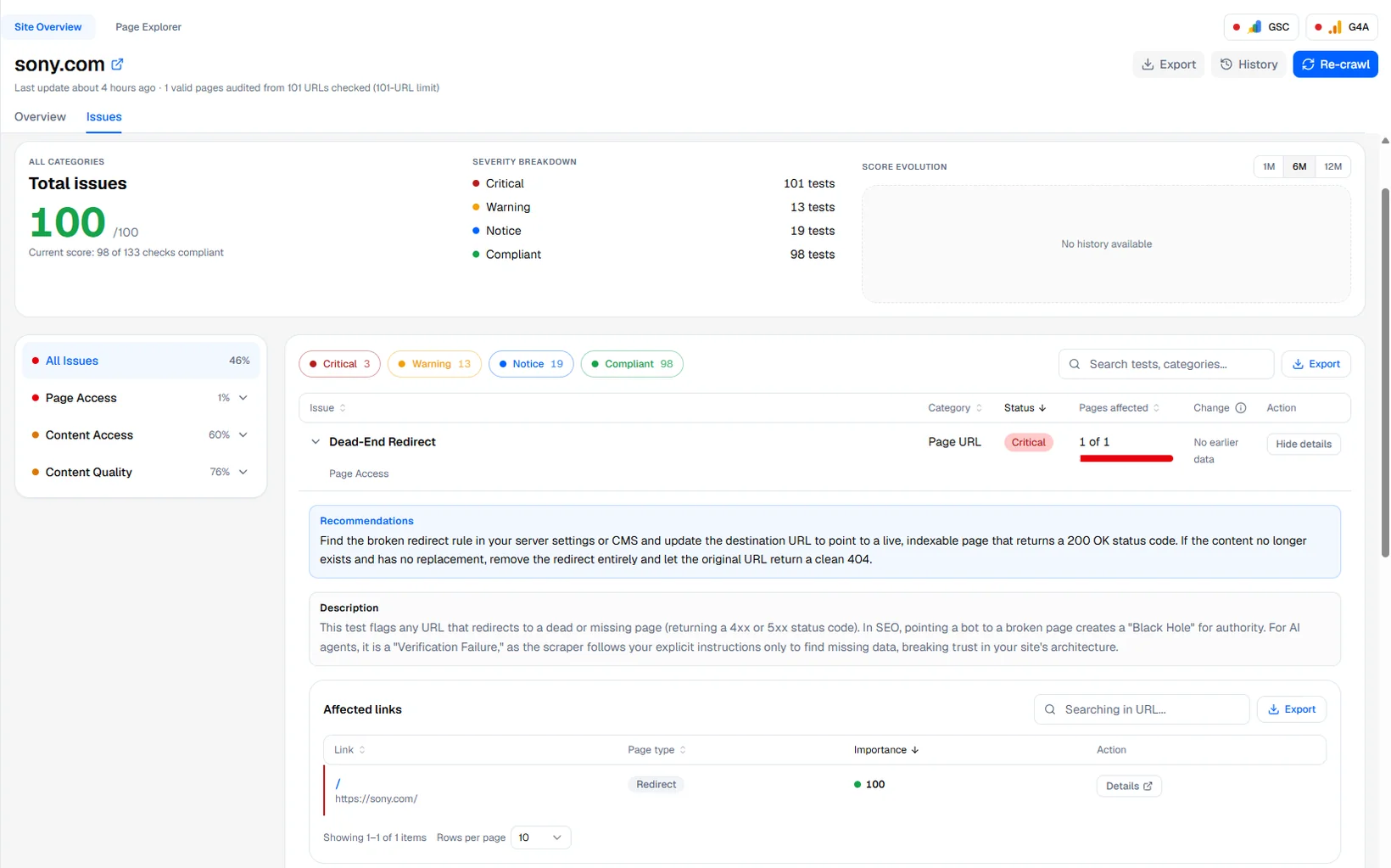 The Issues tab, with one test opened.